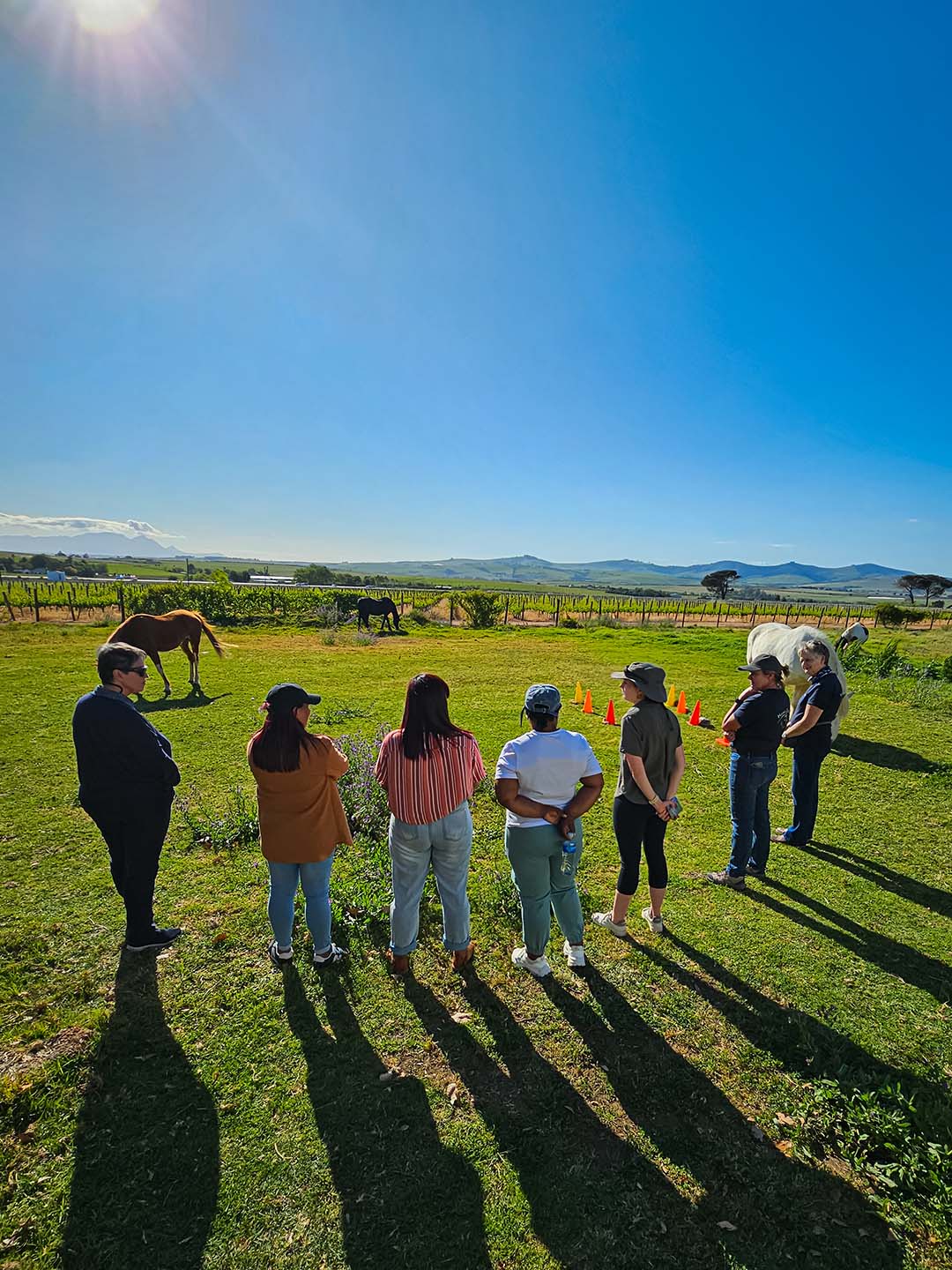 Resilience Workshops with horses