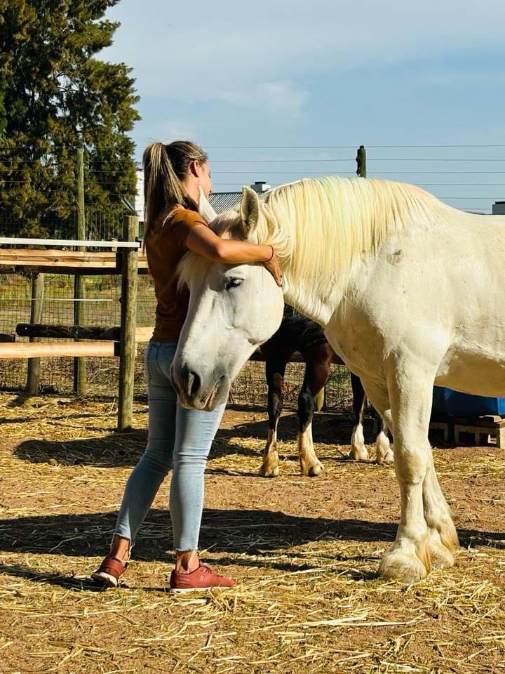 Equine Assisted Counselling